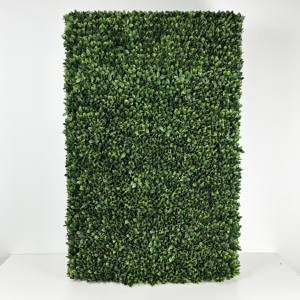 Barcelona Boxwood Hedge, 30in (UV)