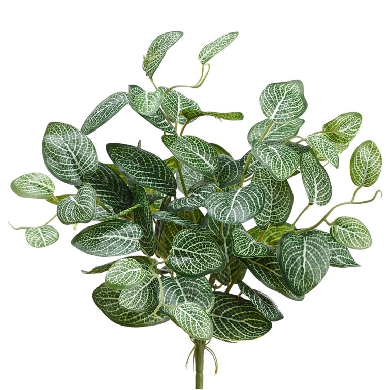 Fittonia Leaf Bush, Green/ White, 15in