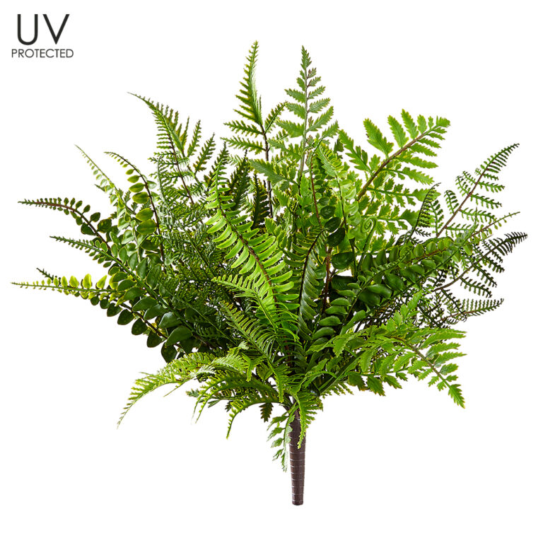 Mixed Fern Bush, 17in