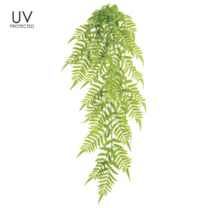 Boston Fern Hanging Bush, 50in