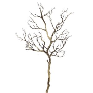 Twig Branch, Brown/Gold, 38in