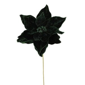 Poinsettia, Velvet Green, 20in