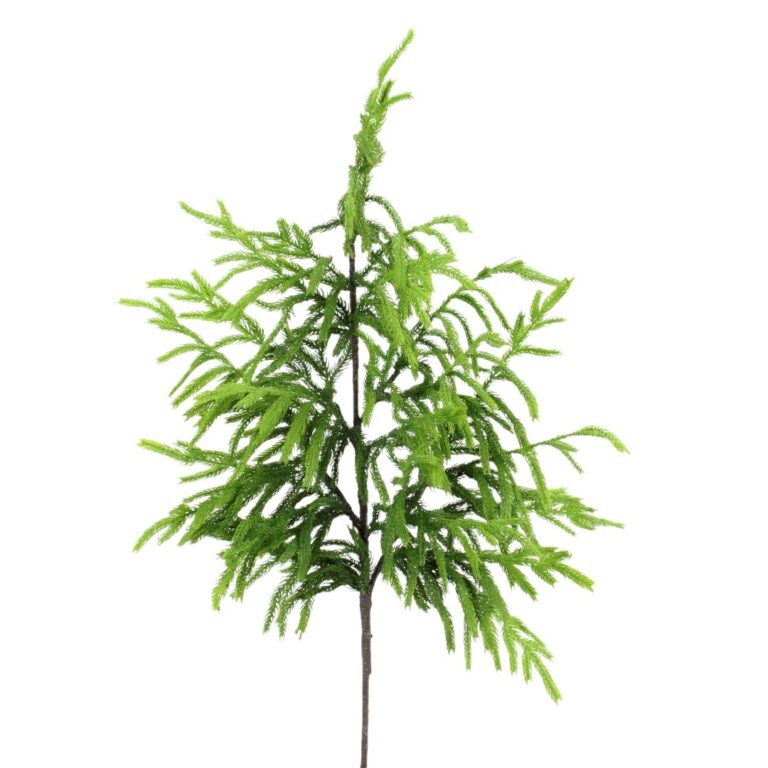 Norfolk Pine Spray, Twotone Green, 38in