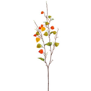 Chinese Lantern Spray, Orange, 35in