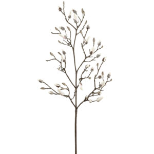 Magnolia Bud, Cream, 60in
