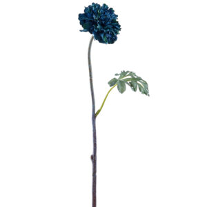 Ranunculus, Blue, 18in