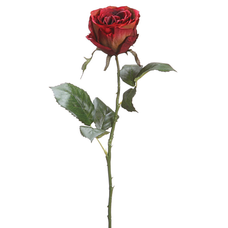 Rose Bud, Burgundy, 22in