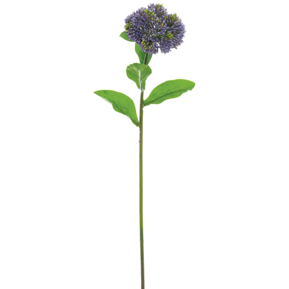 Sedum Spray, 20in