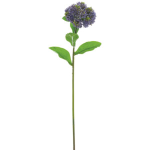 Sedum Spray, 20in