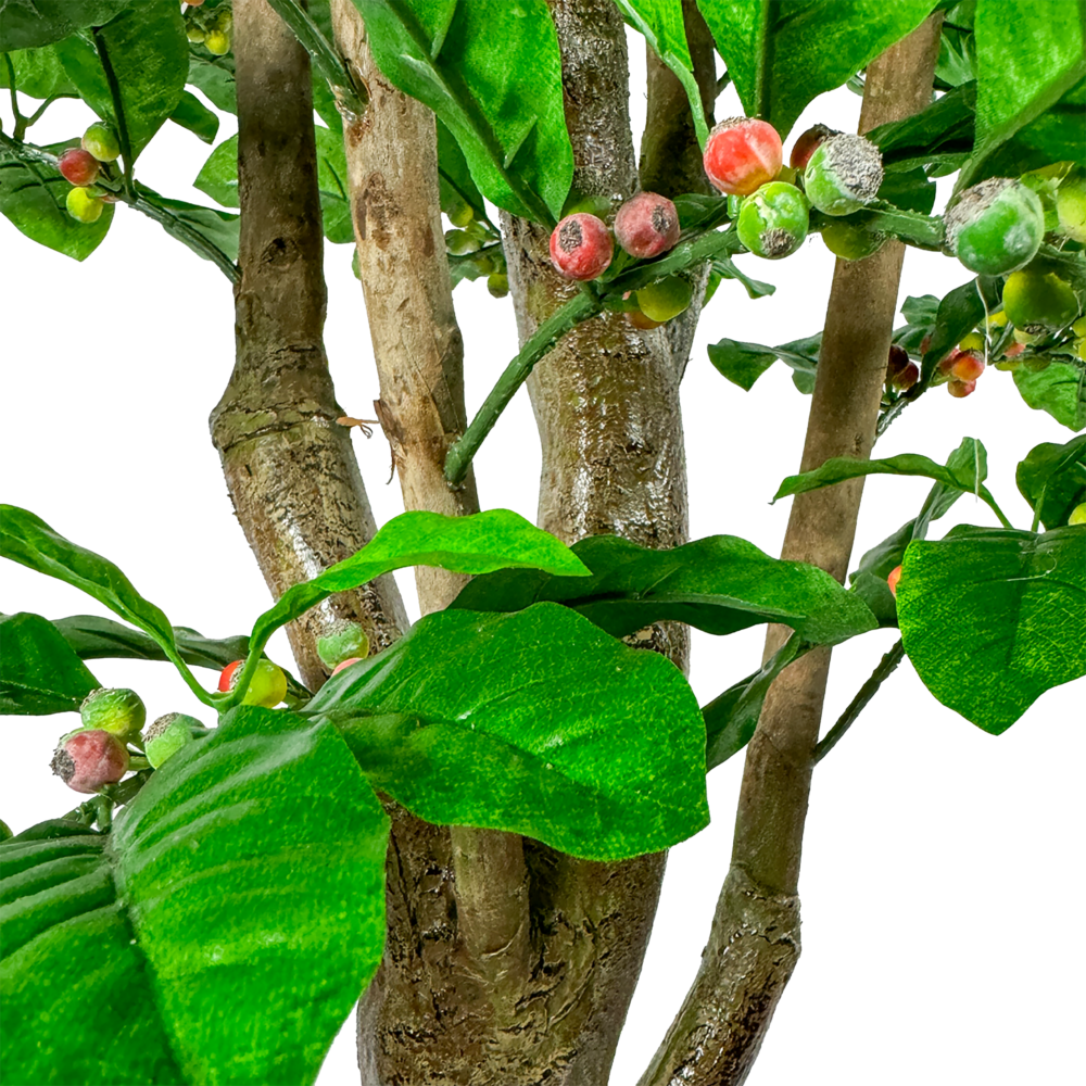 Coffee Tree, Green/Red, 7ft (UV) - Image 2