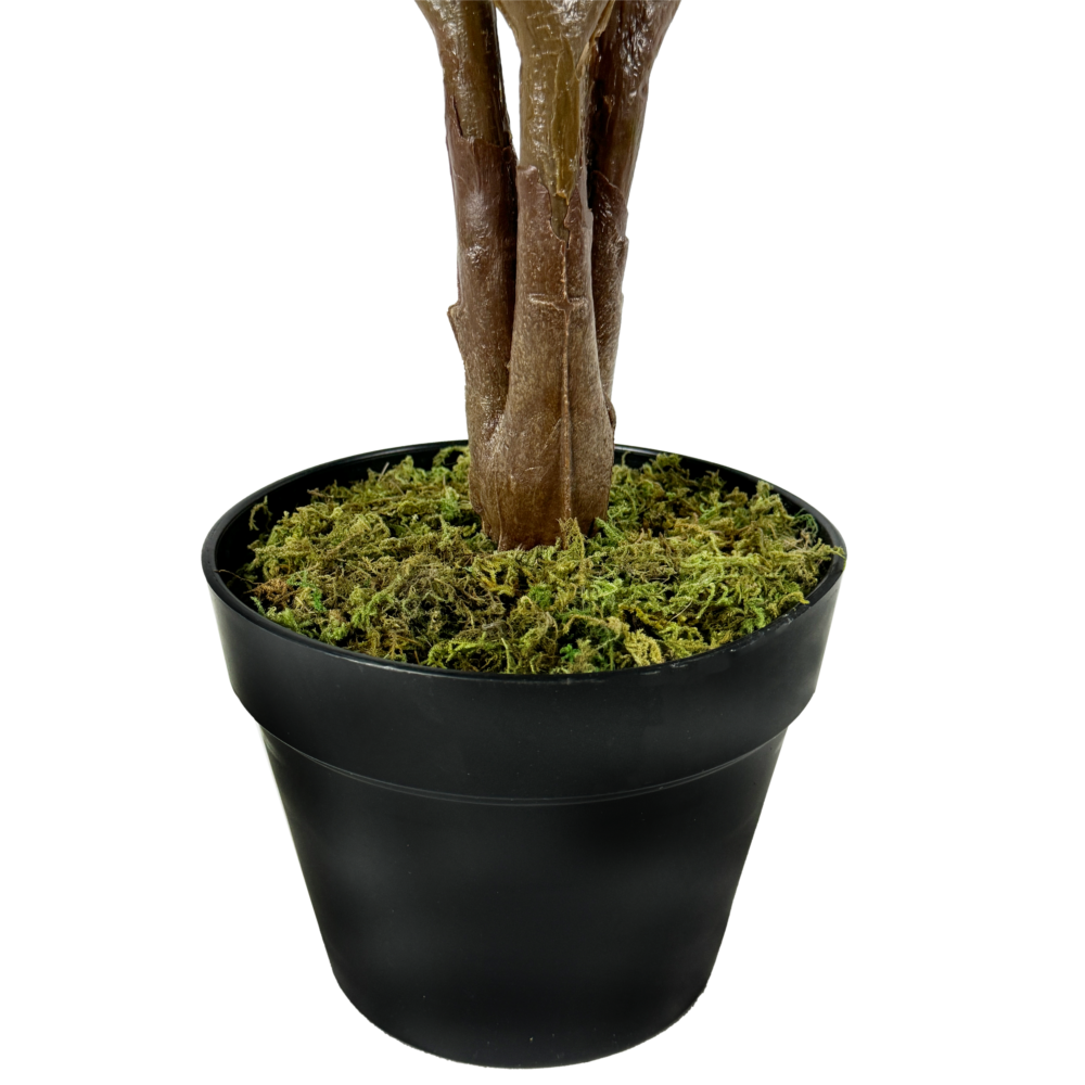 Mangroves Tree, Light Green, 4ft (UV) - Image 3