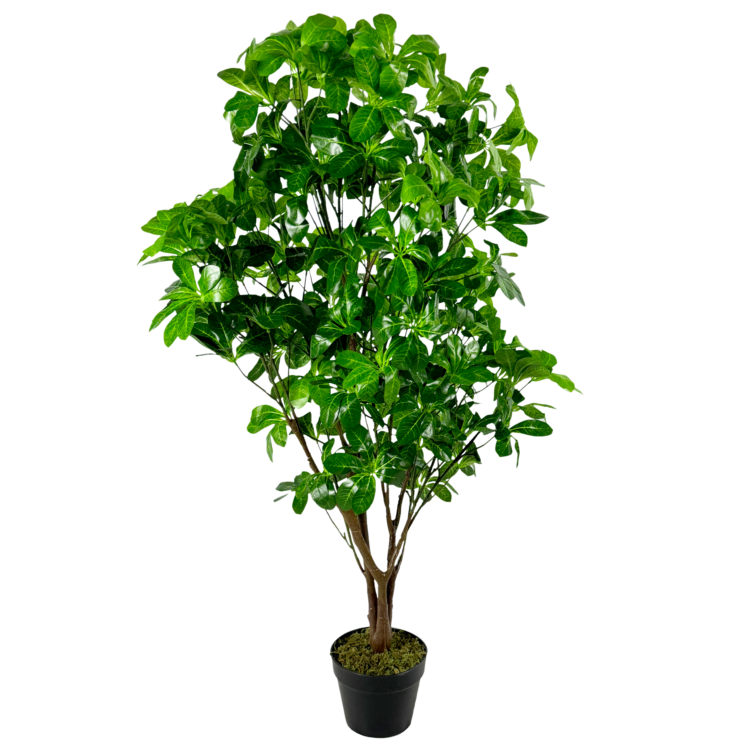 Mangroves Tree, Light Green, 4ft (UV)