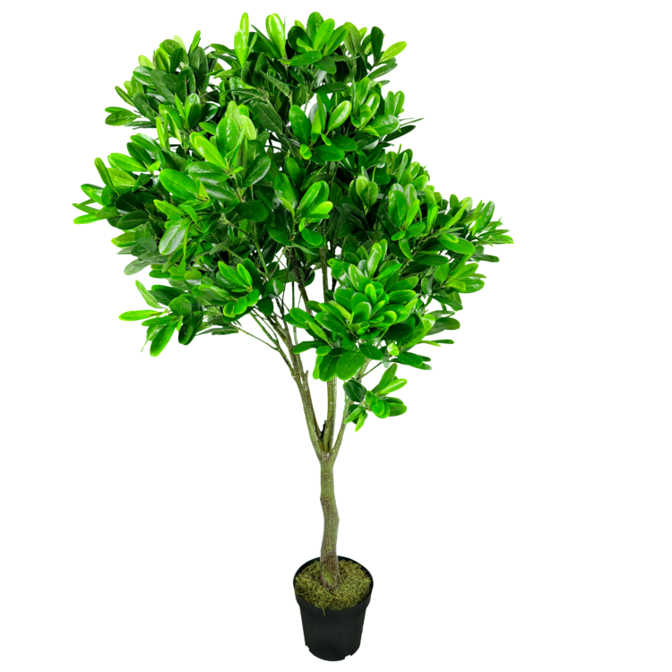 Mangroves Tree, Green, 6ft (UV)