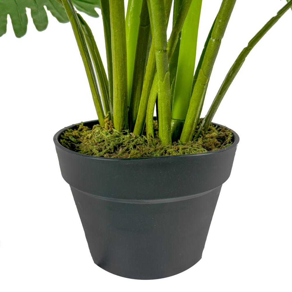 Philodendron Plant, Green, 24in - Image 3