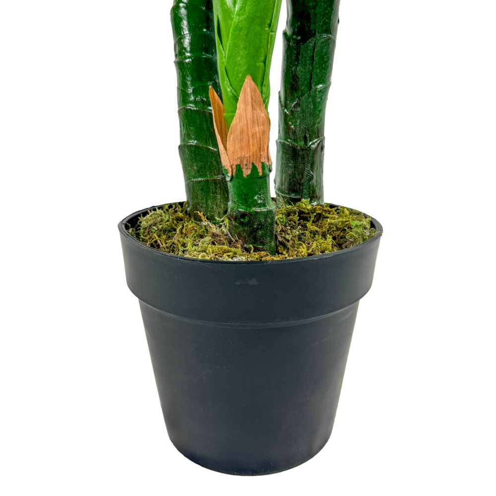 Taro Plant, Green, 4ft (UV) - Image 3