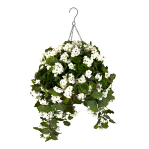 Geranium Luxe Coco Basket w Hook, White, 24in