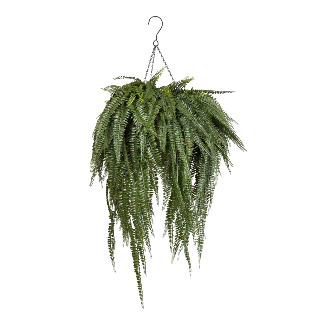 Boston Fern Extra-Long Luxe Coco Basket w Hook, Dark Green, 44in