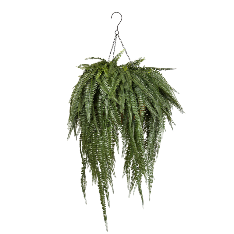Boston Fern Extra-Long Luxe Coco Basket w Hook, Dark Green, 44in