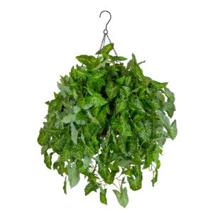 Arrow Head Luxe Coco Basket w Hook, Green, 30in