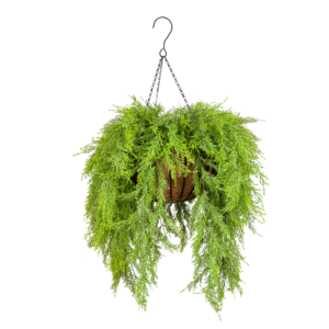 Cedar Luxe Coco Basket w Hook, Green, 30in
