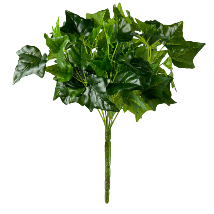Ivy English Bush, 16in (UV)