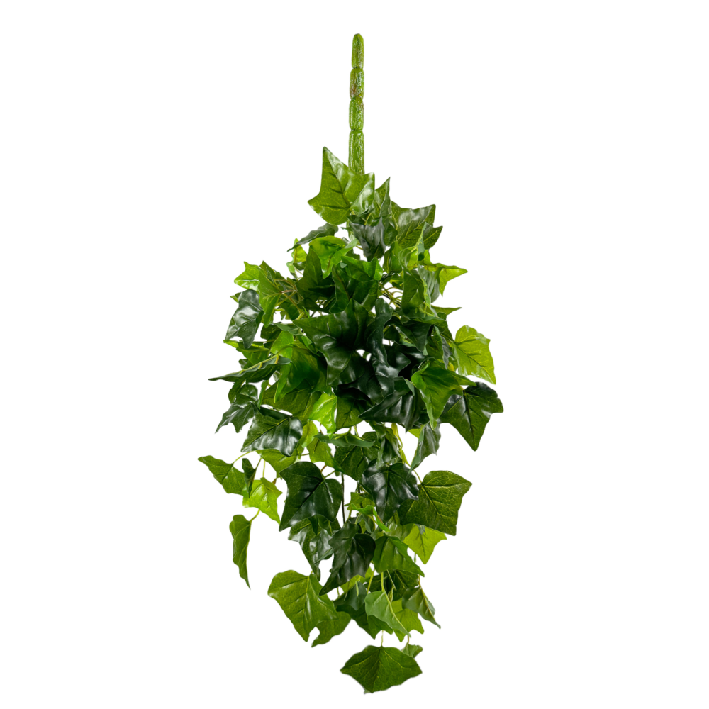 Ivy English Vine Hanging, Green, 34in (UV)