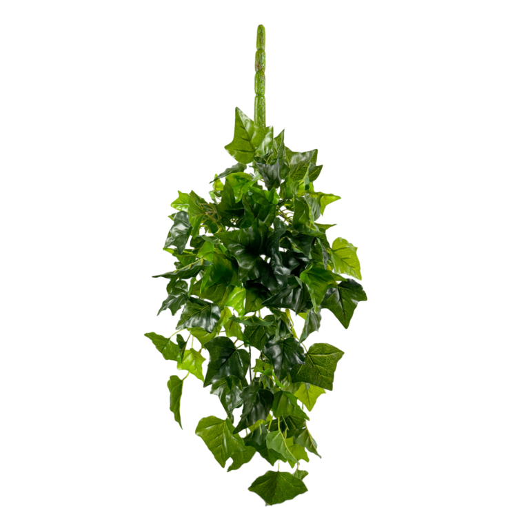 Ivy English Vine Hanging, Green, 34in (UV)