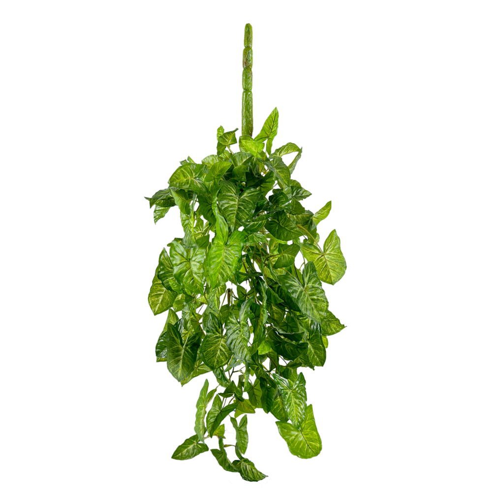 Nepthytis Vine Hanging, Green/White, 36in (UV)