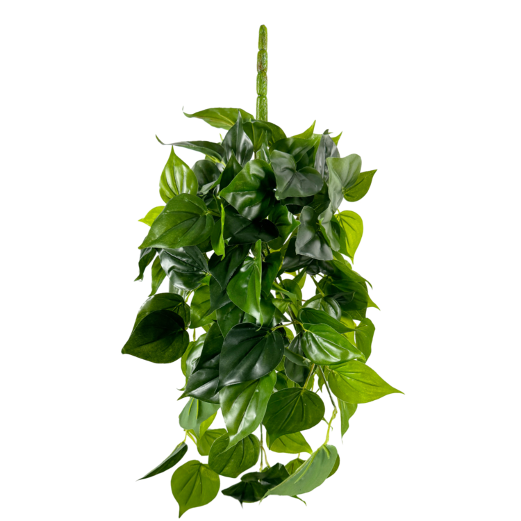 Philo Vine Hanging, Green, 34in (UV)