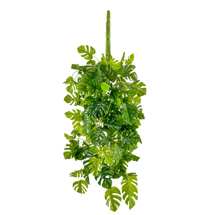 Philo Split Leaf Vine Hanging, Green, 34in (UV)