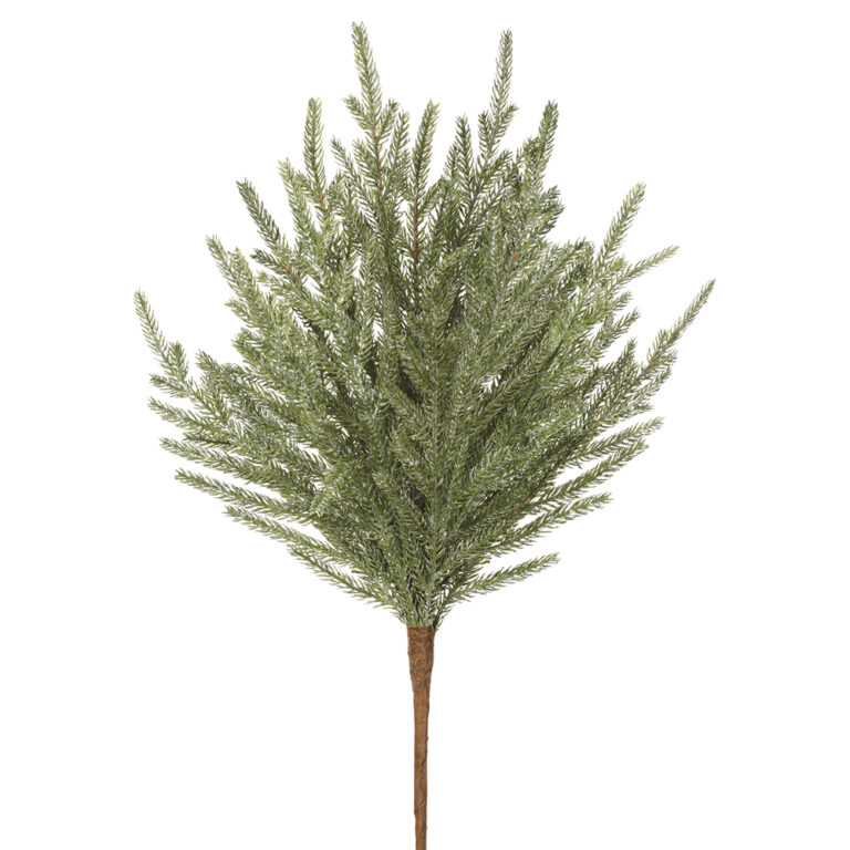 Pine Cypress Spray, Green Frosted, 20in