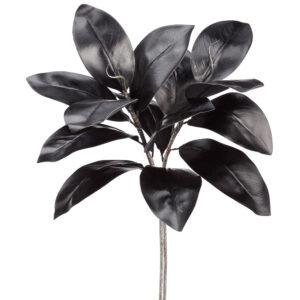 Magnolia Leaf Bundle, Black, 23in