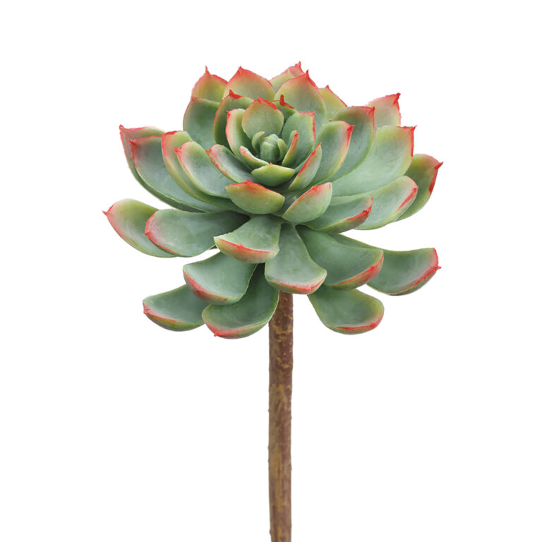 Echeveria Pick, Green/Red, 7in (Real Touch)
