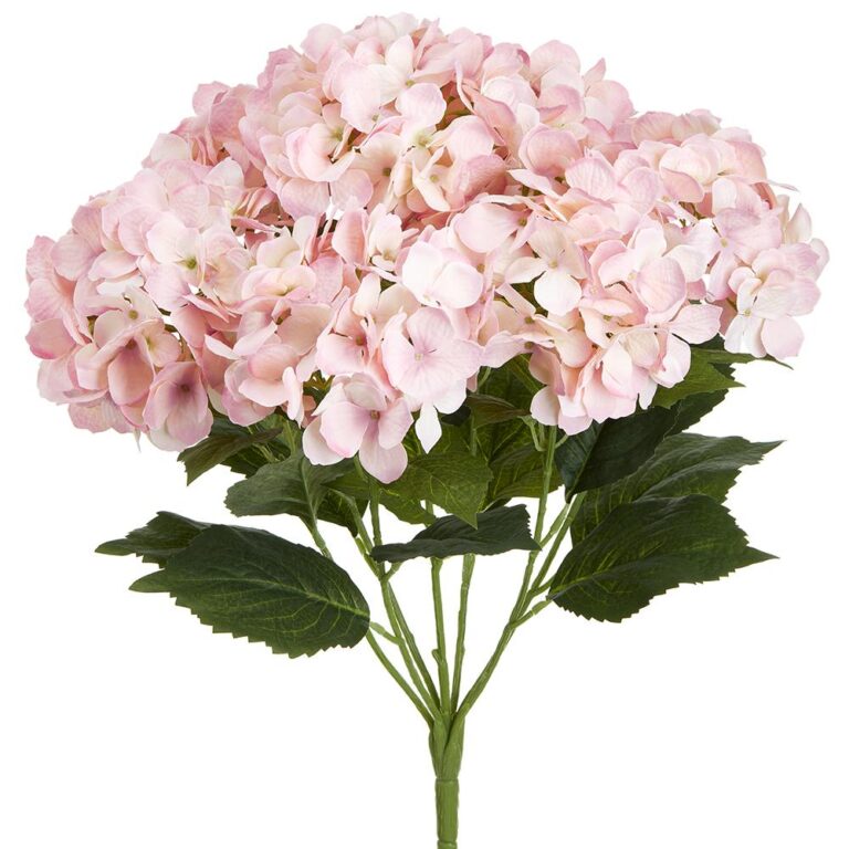 Hydrangea Bush, Pink, 22in