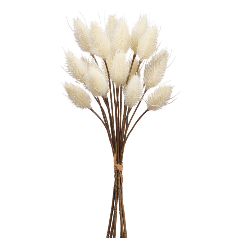 Hare's Tail Bundle, Cream, 14in