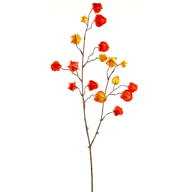 Chinese Lantern Spray, Orange, 41in