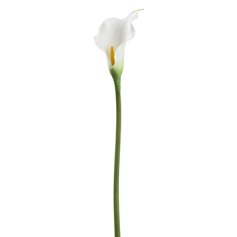 Calla Lily Spray, White, 24in