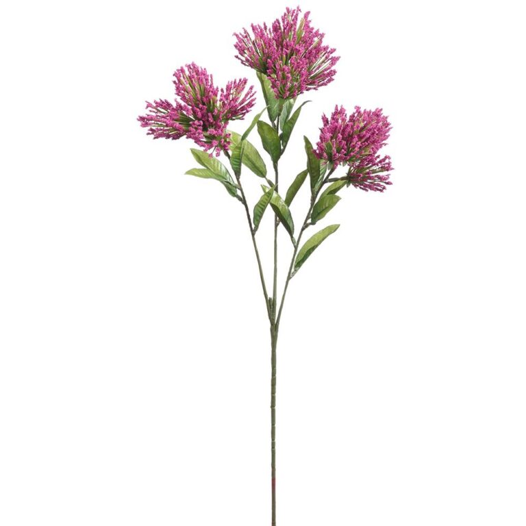 Lions Tail Spray, Purple, 24in