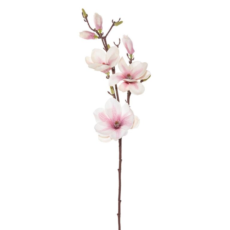 Magnolia Spray, Cream/Pink, 34in