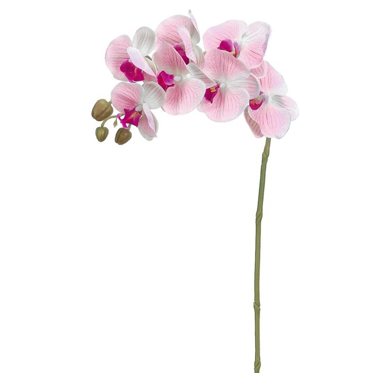 Phalaenopsis Orchid Spray, Pink, 37in (Real Touch)