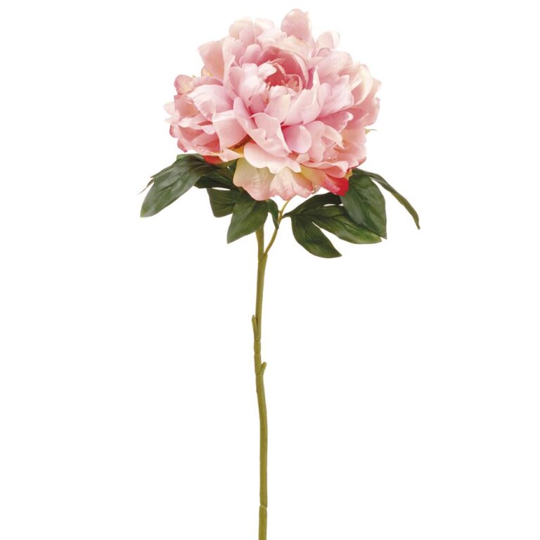 Peony Spray, Pink, 23in