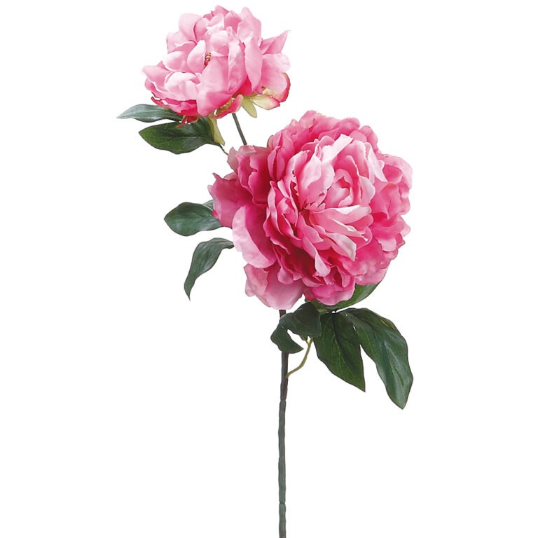 Peony Spray with Bud, Two-Tone Cerise, 19.5in