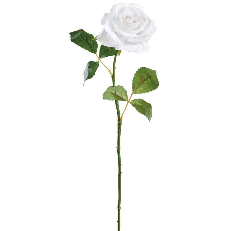 Rose Spray, Cream, 21.5in (Real Touch)