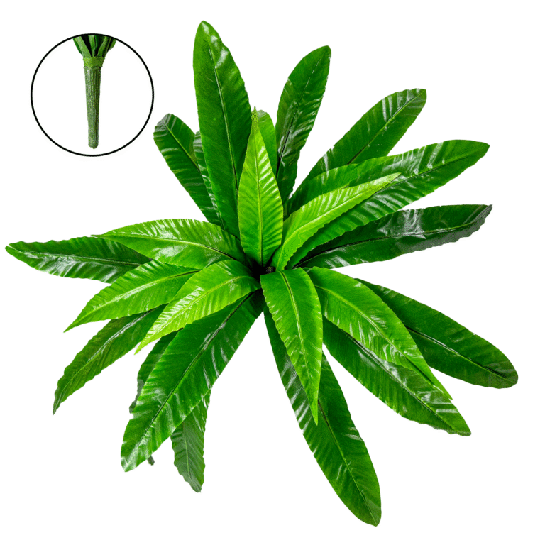 Fern Birds Nest Stem, Green, 22in (UV)
