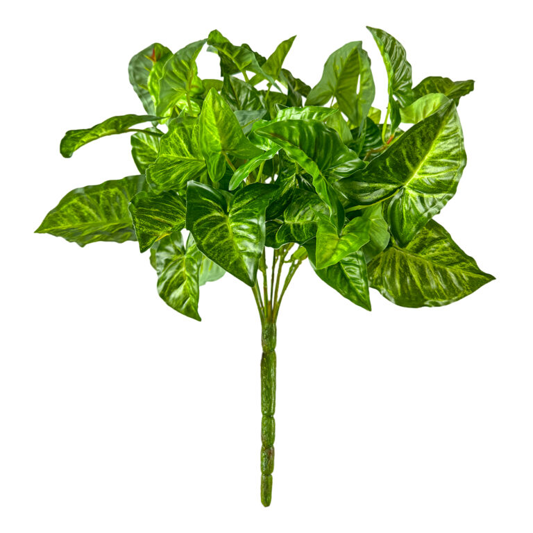 Nepthytis Bush, 16in (UV)