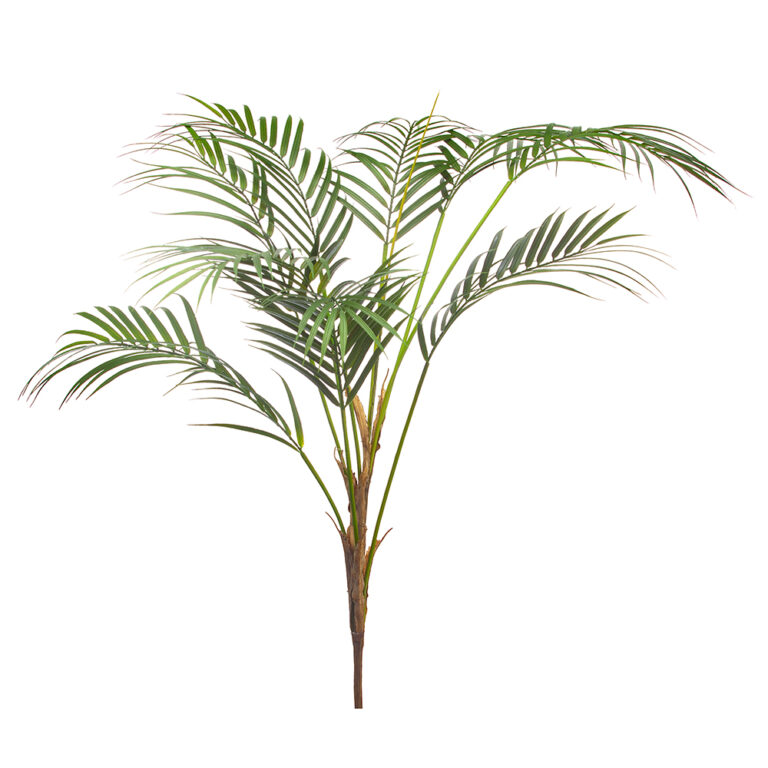 Areca Palm Bush, 35in