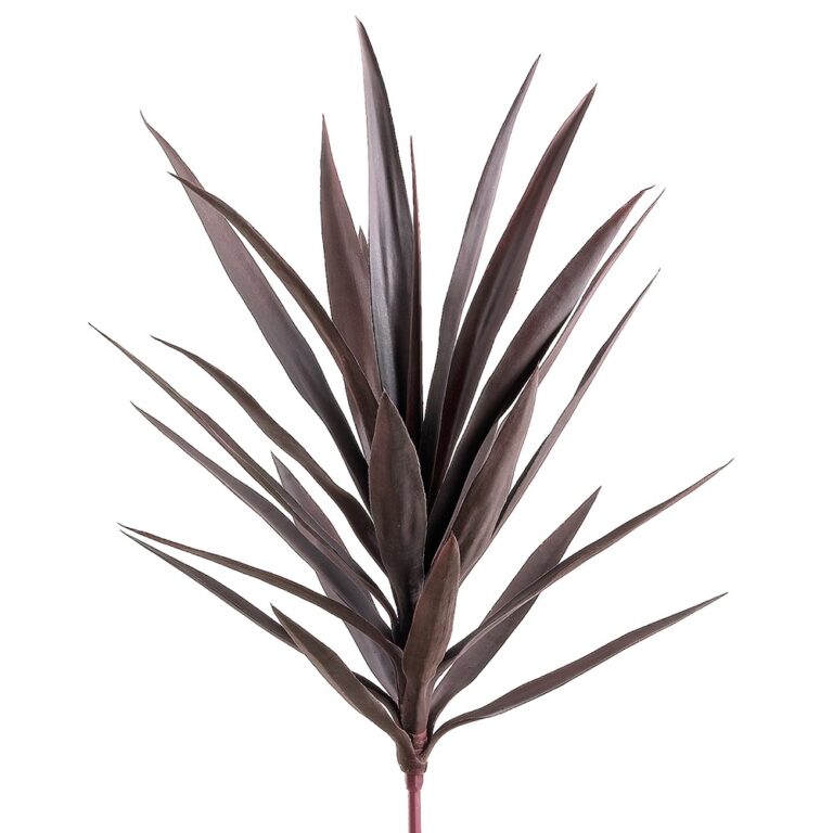 Yucca Plant, Purple, 27in
