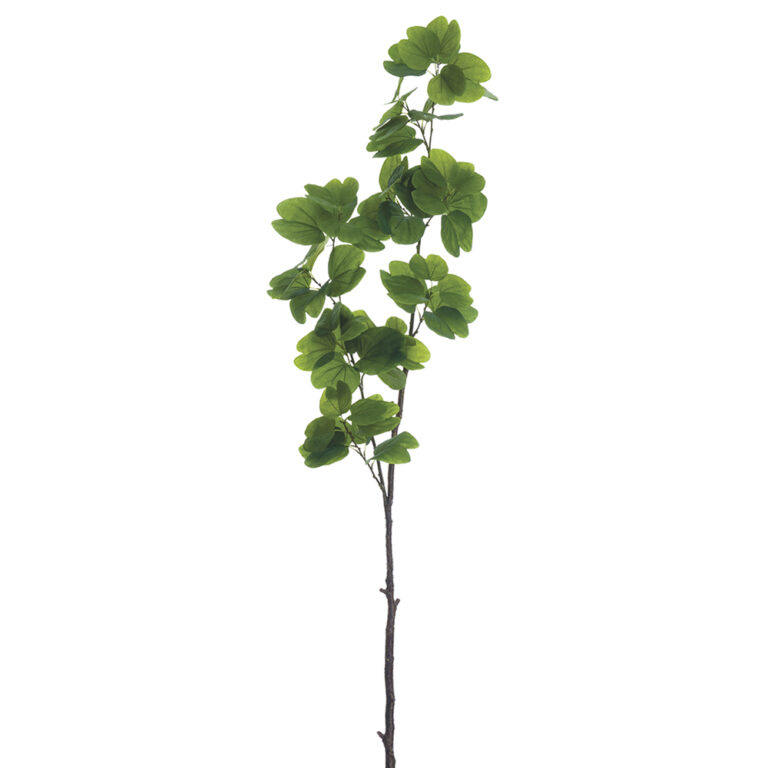 Bauhinia Leaf Branch, 61.5in