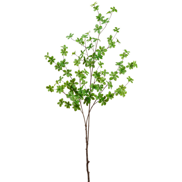 Chestnut Tree Branch, 49in