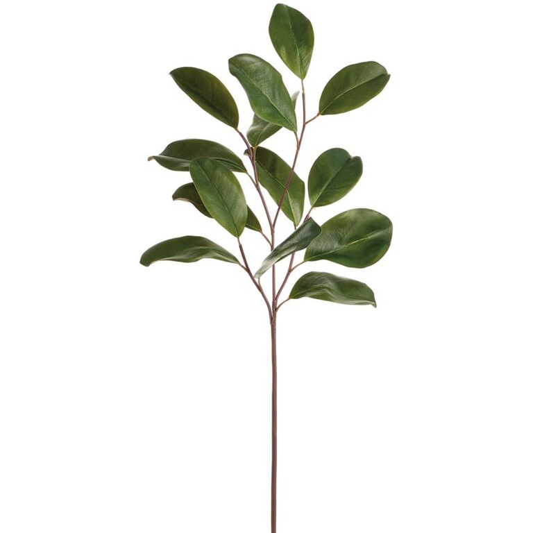 Magnolia Leaf Spray, Green, 32in